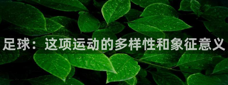 米兰体育靠谱吗