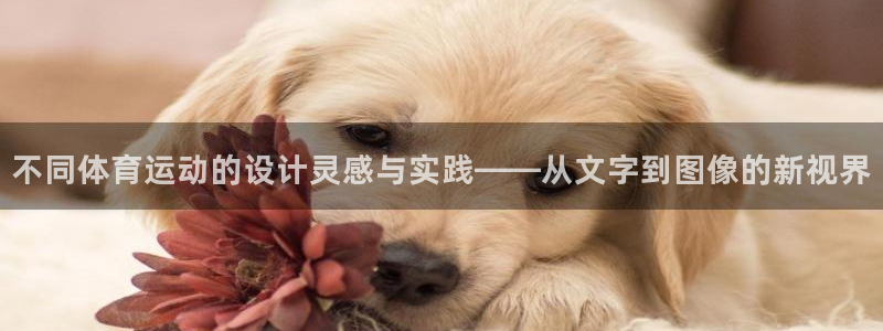 米兰体育官网