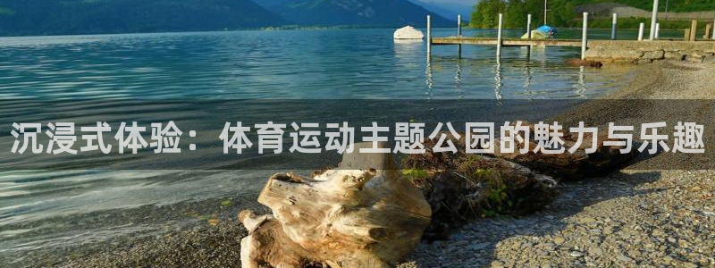 米兰体育平台：沉浸式体验：体育运动主题公园的魅力与乐趣