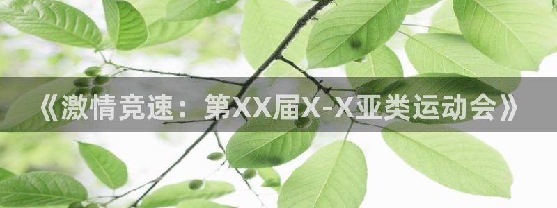 米兰体育app：《激情竞速：第XX届X-X亚类运动会》