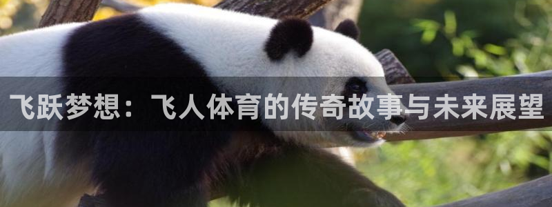 米兰体育中心：飞跃梦想：飞人体育的传奇故事与未来展望