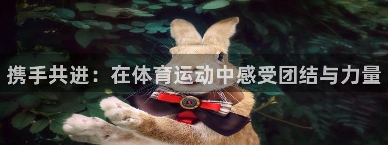 米兰体育：携手共进：在体育运动中感受团结与力量