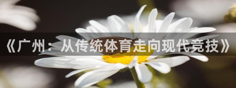 米兰体育在线