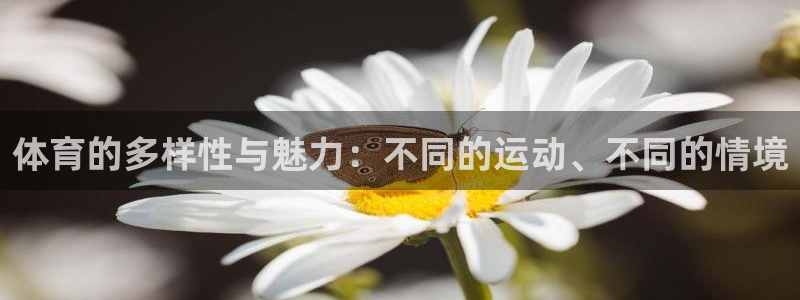 米兰体育：体育的多样性与魅力：不同的运动、不同的情境