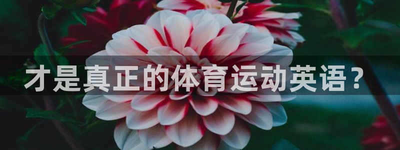 米兰体育下载官网最新版：才是真正的体育运动英语？